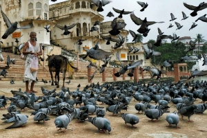 Jodhpur do Jaipur z wizytą pielgrzymkową w Pushkar
