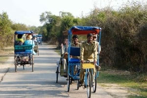 Keoladeo National Park Tickets and Guided Tour