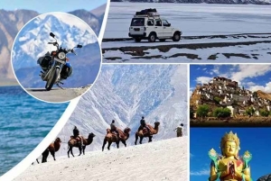 Leh: Leh-Ladakh Tour with Nubra Valley and Pangong Lake