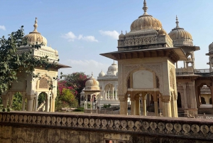 Lokal morgenmad + blomstermarked + tur i den lyserøde by