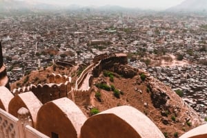 Visite de la ville de Jaipur avec options