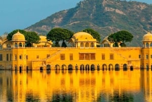 Ruta mogol y maharajá con experiencia de vida salvaje en Sariska