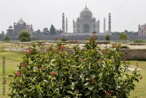 3-daagse trip van Mumbai naar de Taj Mahal met Jaipur, Agra Sightseeing