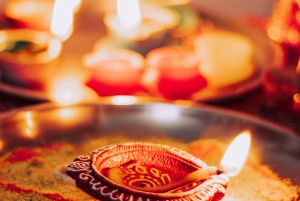 Depuis Delhi : 3 jours au Taj Mahal, visite SOS et safari tigres