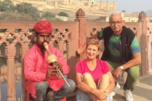 Jaipur: Privat heldagstur med guide og bil