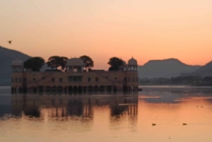 One day Tour in Pink City Jaipur with Guide