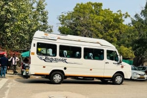 From Delhi to Jaipur by Cab: Hassle-Free City Transfer