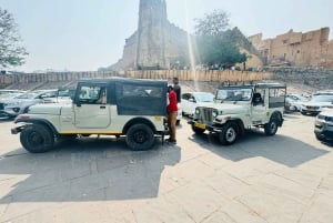 From Delhi to Jaipur by Cab: Hassle-Free City Transfer
