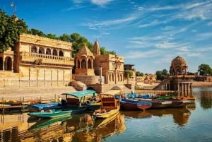 Transfert aller simple vers/depuis Udaipur et Jaipur