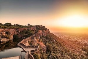 Transfert aller simple vers/depuis Udaipur et Jaipur