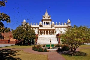 Enkele reis transfer van Jaipur naar Jodhpur