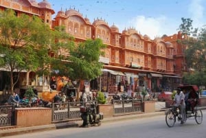 Roze Stad Jaipur Erfgoed & Cultuur Wandeltour met gids