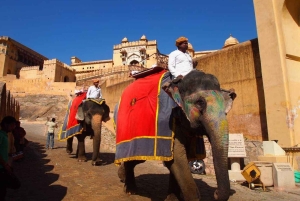 Den rosa byen Rajasthan, Jaipur Eksklusiv tur (02 dager)