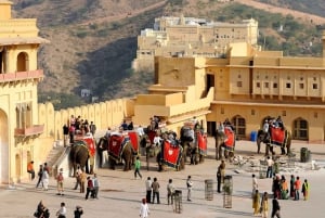 Jaipur: Private Car & Driver Hire on an Hourly / Daily Basis