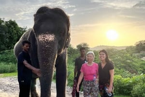 Jaipur: Santuário particular de elefantes