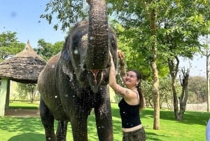 Jaipur: Santuário particular de elefantes