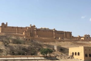 Tour privato di un giorno intero della città di Jaipur