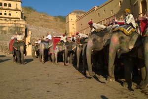 Private Full Day Jaipur Pink City Tour with Pick-Up
