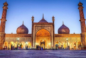 Private Golden Triangle Tour 6 Days 5 Nights