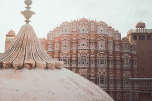 Jaipur: Tour privato serale con il tramonto del Tempio delle Scimmie