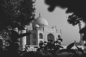 Prywatna wycieczka 1-dniowa do Tadż Mahal i Agra z biletem wstępu