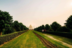 Private Taj Mahal Tour with 5* Lunch from Delhi/Jaipur