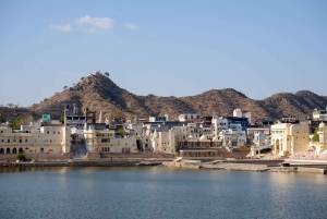 Pushkar Full Day Tour from Jaipur