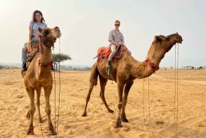 Pushkar Full Day Tour from Jaipur