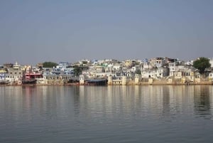 Dagstur til Pushkar med Brahma-tempel fra Jaipur