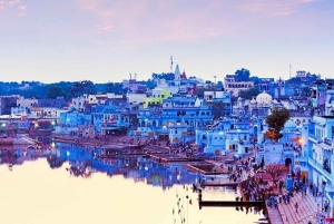 Rajasthan : circuit de 5 jours, forts de Chittorgarh, Jodhpur et Udaipur