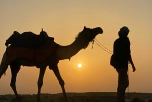 Tour por Rajastán 7 noches y 8 días