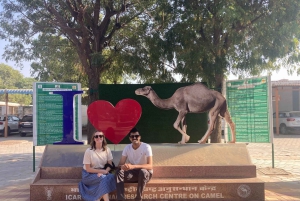 ラジャスタンツアー 7泊8日