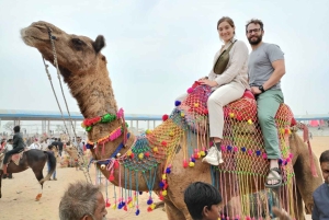 ラジャスタンツアー 7泊8日