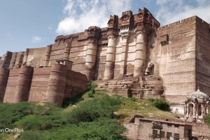 ラジャスタンツアー 7泊8日