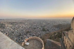 ラジャスタンツアー 7泊8日