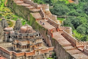 Wycieczki po Radżastanie: Luksusowa i prywatna wycieczka samochodem z przewodnikiem.