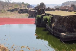 Ranthamboren kansallispuisto: Canter-safarilippu ja nouto