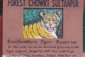 Ranthambore Tiger Safari Day Trip from Jaipur -All Inclusive