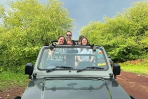 Ranthambore Tiger Safari Day Trip from Jaipur -All Inclusive