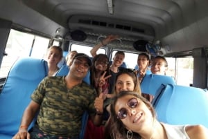 Ranthambore Tiger Safari päiväretki linnoituskierroksella ja lounaalla