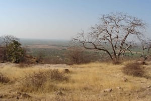 Ranthambore Tiger Safari päiväretki linnoituskierroksella ja lounaalla