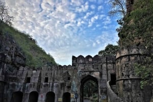 Ranthambore Tiger Safari päiväretki linnoituskierroksella ja lounaalla