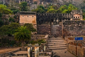 Ranthambore WildLife (tiger safari)Full Day Tour From Jaipur