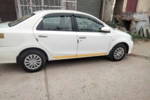 Ranthambore WildLife (tiger safari)Full Day Tour From Jaipur