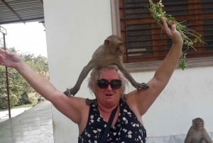 Dagtrip Abhaneri met apentempel vanuit Jaipur