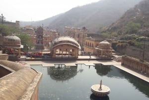 Dagtrip Abhaneri met apentempel vanuit Jaipur