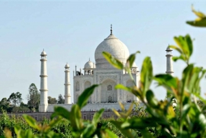 Taj Mahal Agra Guided Tour with Car, Ticket & Lunch (Option)