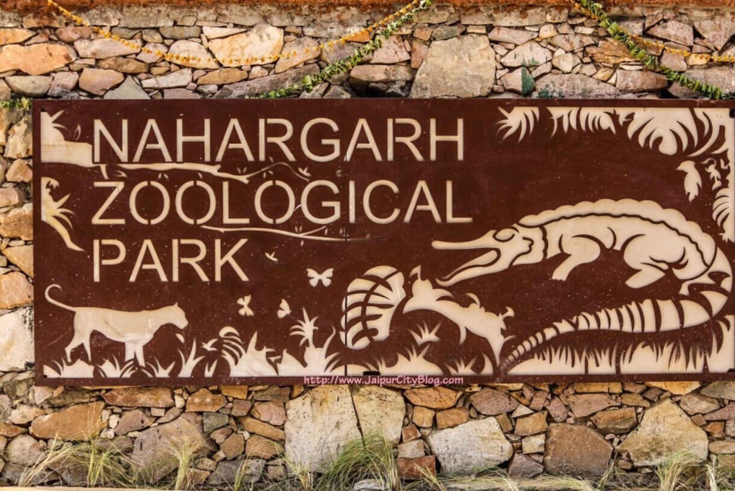 Skip The Line : Nahargarh Biological Park Tour, Jaipur