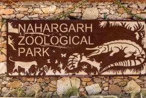 Skip The Line : Nahargarh Biological Park Tour, Jaipur