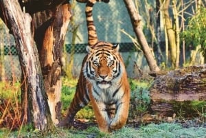 Skip The Line : Nahargarh Biological Park Tour, Jaipur